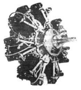 Narkiewicz, WN-3 angled-front view
