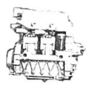 Nelson 4T