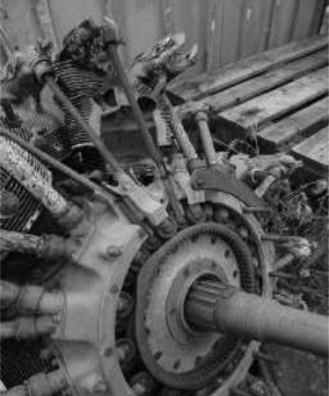 Remains of G-R 14 at the Toulouse Museum