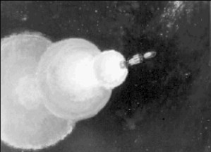 Artistic representation of the Orion