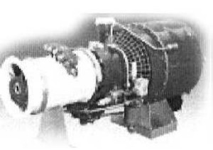 PBS Safir 5M, fig. 1