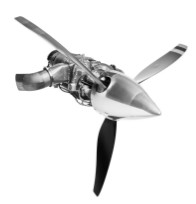 PBS TP-100 turboprop