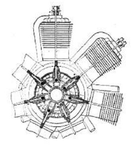 Peugeot-Rossel, dibujo