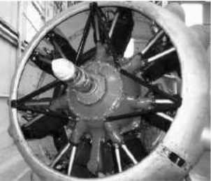 Piaggio P-VII, Stella