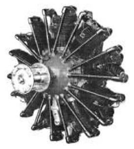 Primeros Wasp, fig. 1