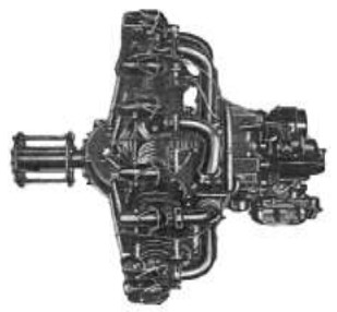 Primeros Wasp, fig.2