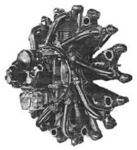 Primeros Wasp, fig. 3