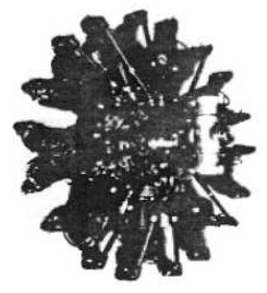 P&W, Hornet A