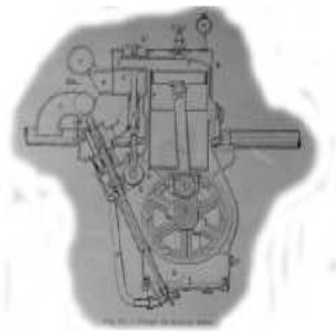 Aster cross section