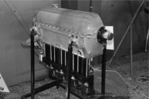 PZ - Inz. Junior