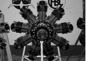 Pegaz VII