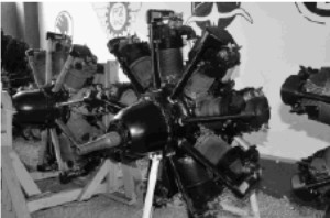 Pegaz VIII