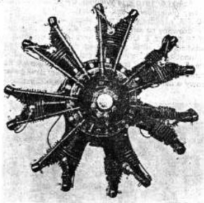 G-594, Pedro el Negro