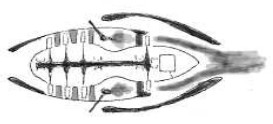 Rateau double flow patent