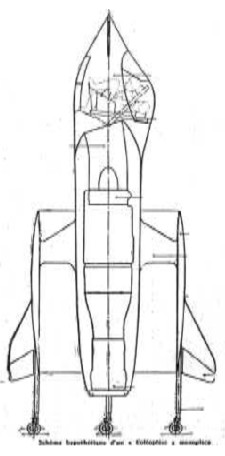 Coleoptère with Atar
