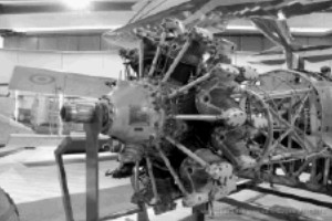 The Reggiane A74 identified as Fiat