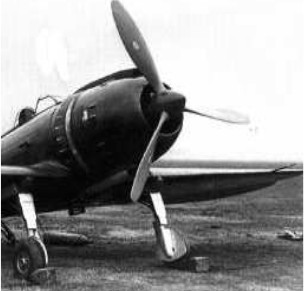 Reggiane's Ariete plane