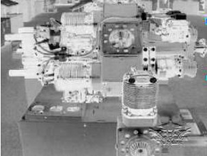 Rheem S-10