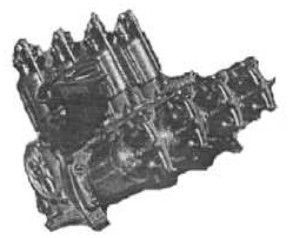 Rinek, angled rear view