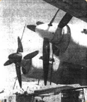 Appearance on the Avro Shackleton