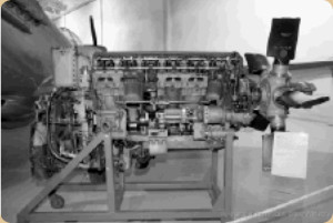 Griffon 66 side view