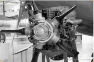 RR Griffon 66