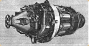 Marine Proteus