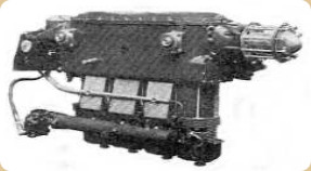 Metrovick Beryl