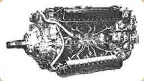 Vulture, left front view