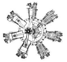 Salmson 7Ac frontal cross-section