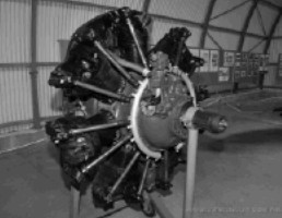Shvetsov As-21