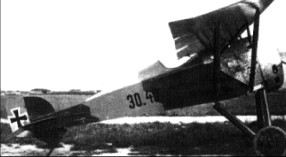 El Aviatik Berg de 1918 con Steyr