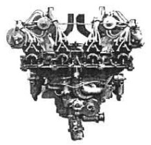 Sunbeam Cossack vista posterior