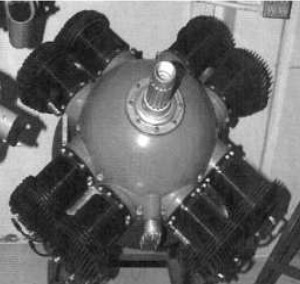 Motor Bakewell Wingfoot
