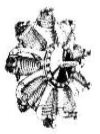 Motor Berwick-LeRhone
