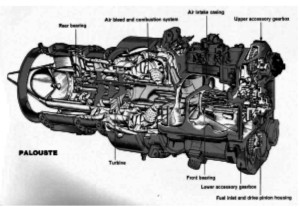 Palouste de la Blackburn