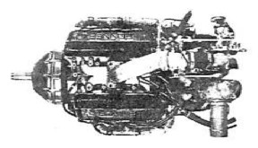 Bonner, top view