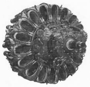 Centaurus 661