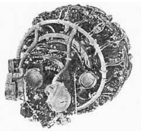 Centaurus, accessory side