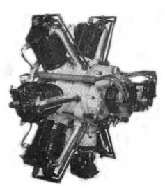 Brownback Tiger, rear view
