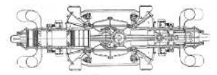 Burn - cross section