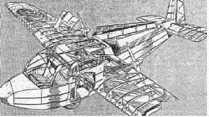 Carden Baynes glider with 80 hp engine