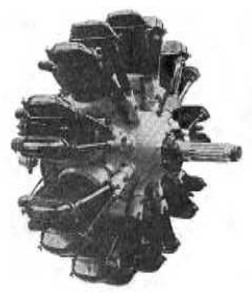 ZOD-260
