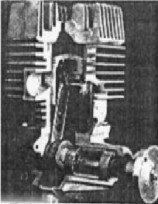 Chotia cutaway