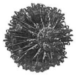 Clerget 14D