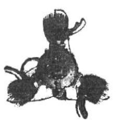 Collet - 3-cylinder radial engine