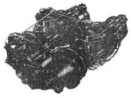 Continental - XT-67, twin engine