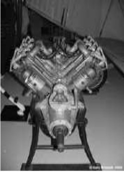 OX-5 variant