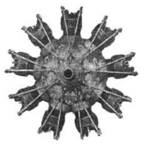 CZ, front view