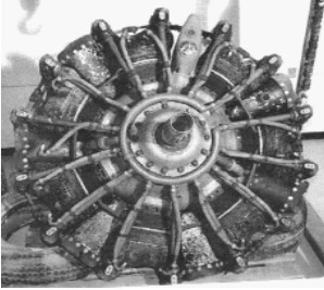 Elizalde Sirio fig1